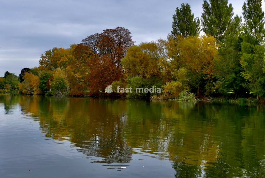 Autumnal colours reflected in The River Thames at Kings Meadow on an overcast afternoon