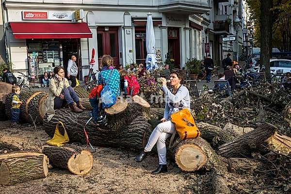 DEU Germany Germany Berlin People use fallen trees in Grimmstrasse as a place to take a break, children as a playground