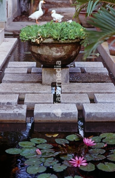 Plants in stone urn on bridge over pool with water lilies