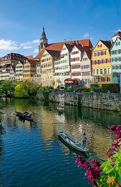 Historic houses on the Neckar front, the Neckar river with poking and water reflection, old town of Tübingen, Baden-Württemberg, Germany
