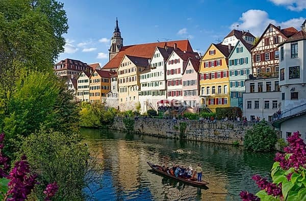 Historic houses on the Neckar front, the Neckar river with poking and water reflection, old town of Tübingen, Baden-Württemberg, Germany
