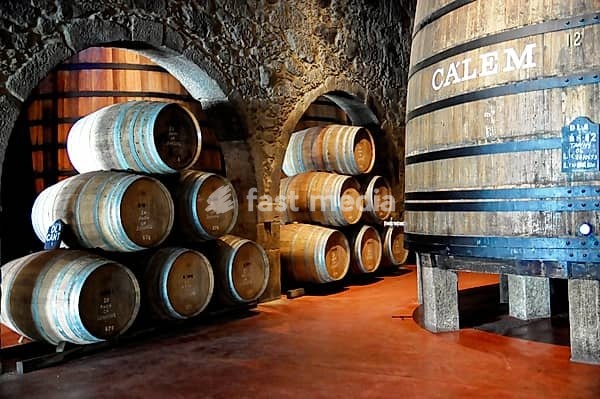 Calem, Port Winery, Vila Nova da Gaia, Porto, wine barrels of various sizes in a cellar with arches and stone walls, Porto, northern Portugal, Portugal