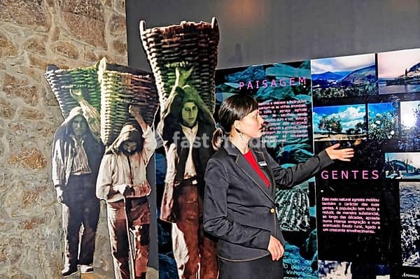 Calem, Port Winery, Vila Nova da Gaia, Porto, person explaining exhibition in a museum with historical theme and stone wall, Porto, northern Portugal, Portugal