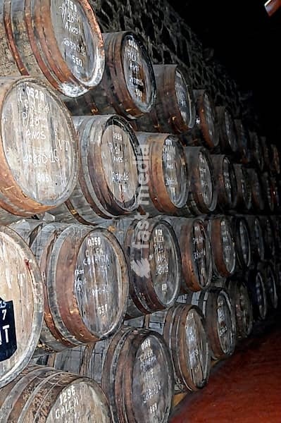 Calem, Port Winery, Vila Nova da Gaia, Porto, rows of wooden wine barrels in a wine cellar in front of a stone wall, Porto, northern Portugal, Portugal