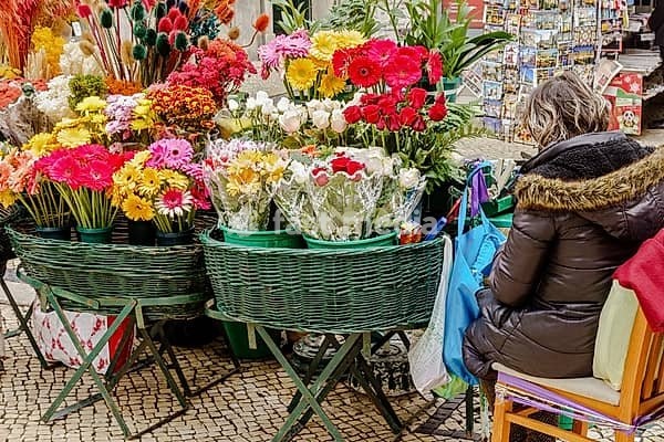 Flower Seller Lisbon Portugal