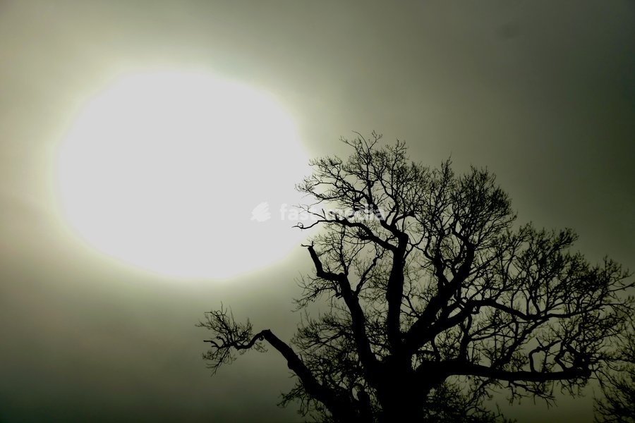 The sun burns through the mornings light mist over the countryside