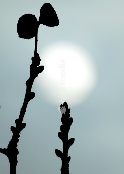 The sun burns through the mornings light mist over the countryside