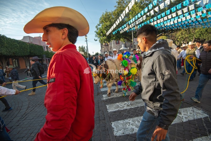Residents of Queretaro participate in the traditional "paseo del Buey" (parade of the Ox) where they are paraded through the main streets to offer them as a sacrifice to the Virgin of Pueblito, a pre-Hispanic tradition with more than 291 years of history. on February 8, 2026 in Corregidora, Mexico