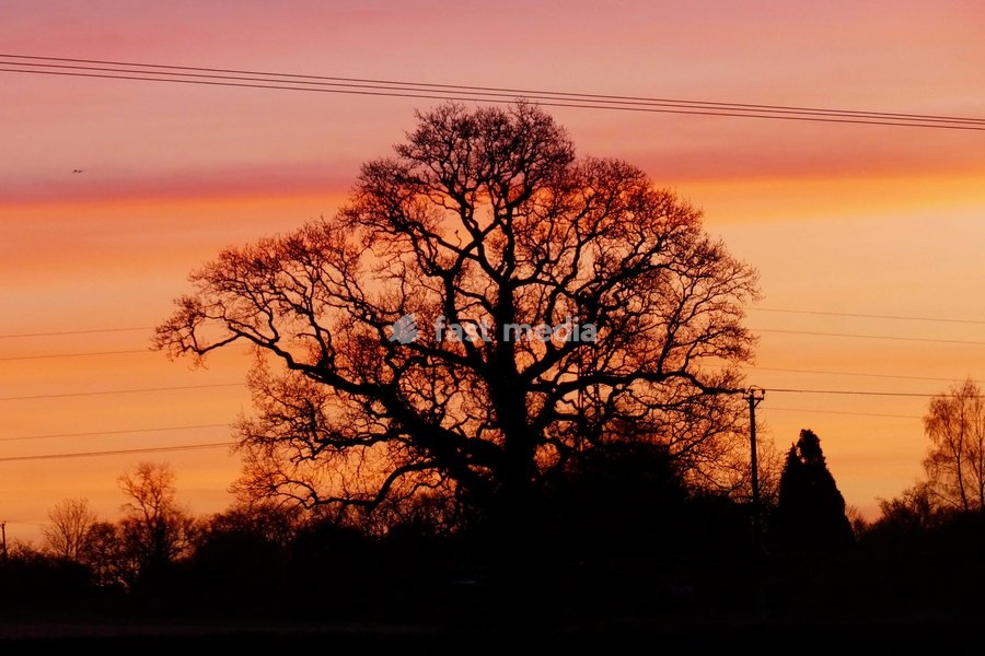 Pretty skies at dawn