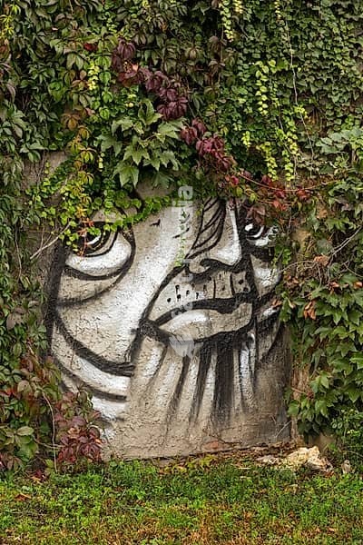 Graffiti of a face on the wall of a rockface that looks like a sad cat in Budapest, Hungary