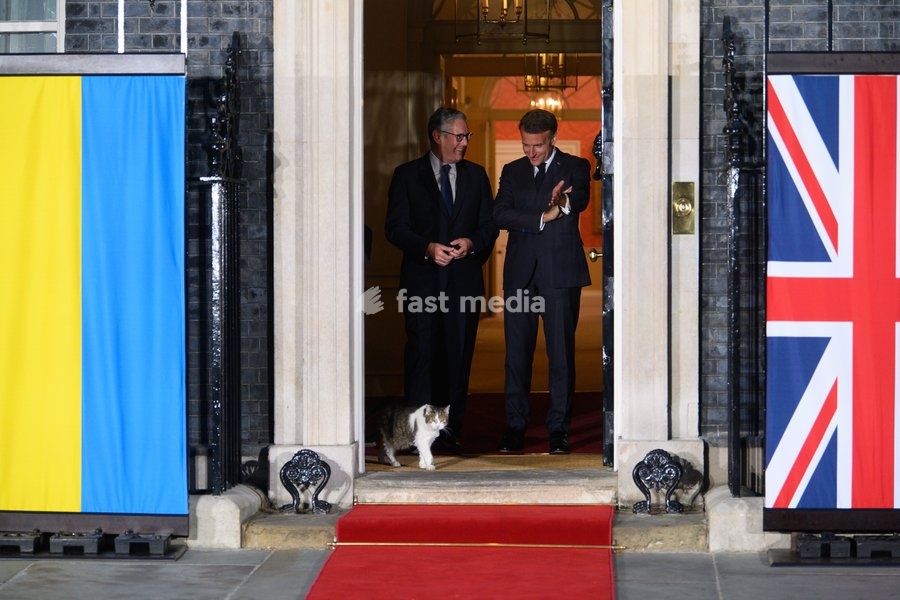 Larry The Cat leads French President Emmanuel Macron, British Prime Minister Sir Keir Starmer, German Chancellor Frederich Merz and Ukrainian President Volodymyr Zelenskyy out for a photo in Downing Street, London, England, UK on Sunday 7 June, 2026