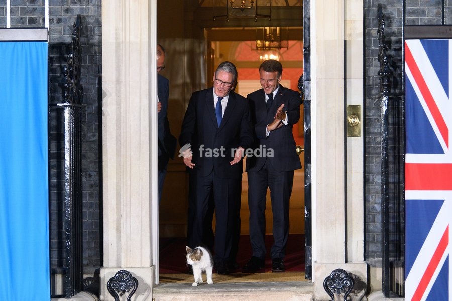 Larry The Cat leads French President Emmanuel Macron, British Prime Minister Sir Keir Starmer, German Chancellor Frederich Merz and Ukrainian President Volodymyr Zelenskyy out for a photo in Downing Street, London, England, UK on Sunday 7 June, 2026