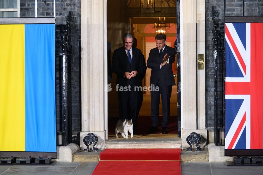 Larry The Cat leads French President Emmanuel Macron, British Prime Minister Sir Keir Starmer, German Chancellor Frederich Merz and Ukrainian President Volodymyr Zelenskyy out for a photo in Downing Street, London, England, UK on Sunday 7 June, 2026