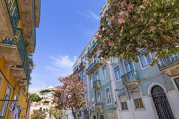 Traditional old yellow apartment buildings with wrought iron balconies next to a blooming purple tree in the historic Alfama neighborhood of Lisbon