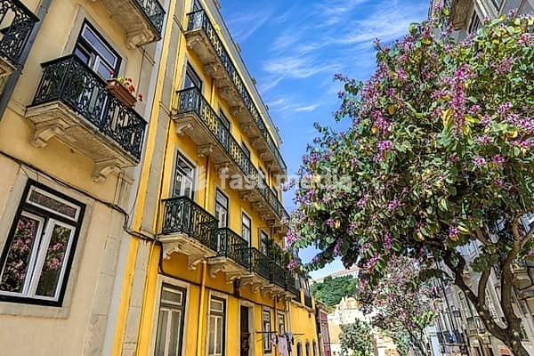 Traditional old yellow apartment buildings with wrought iron balconies next to a blooming purple tree in the historic Alfama neighborhood of Lisbon