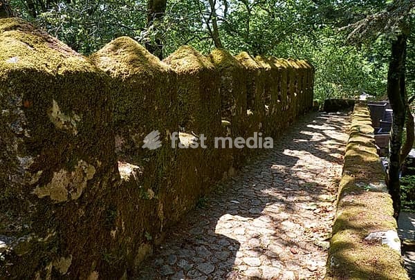 A mossy battlement with a parapet of outer defensive wall in the forest of Moorish Castle. Sintra. Portugal