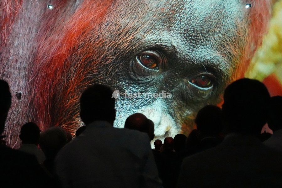 Participants of a Business Forum for The Royal Foundation's United for Wildlife watch a video introduction while Britain's Prince William attends in London, Monday, June 22, 2026