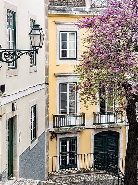Narrow alley with a purple blooming tree in the old town of Lisbon, Portugal. Colourful facades in a narrow alley in the old town of Lisbon, Portugal