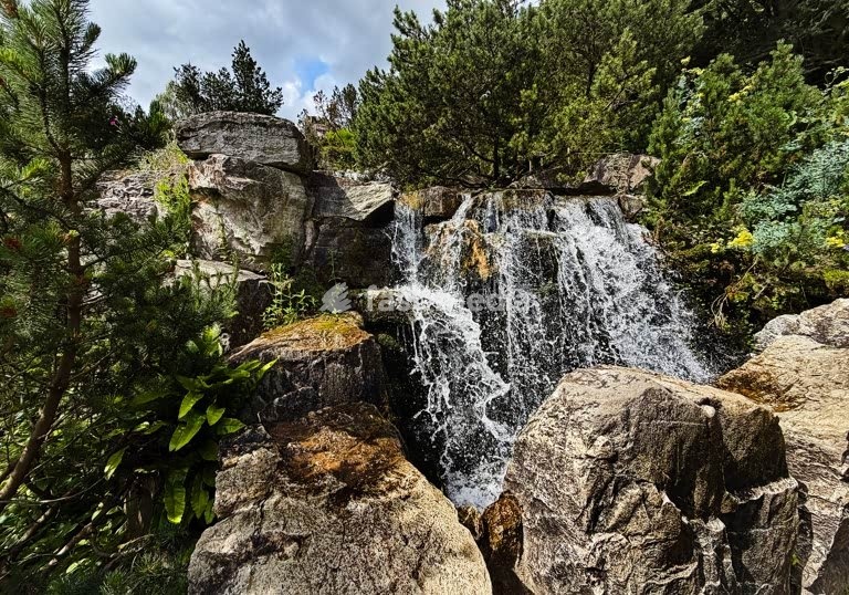 Essen, Grugapark, waterfall in the Alpinum. Essen, 10 June 2026