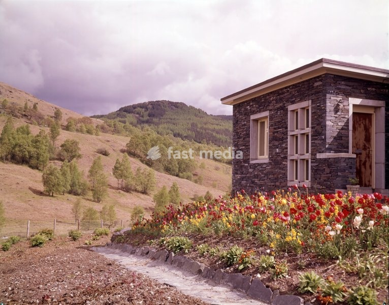 Perthshire, Scotland, c1955. View in the Scottish Highlands: house with tulips