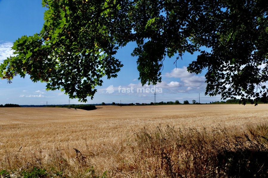 Harvested fields in the mornings warm sunshine