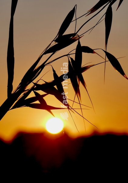 The days sun rises over the countryside