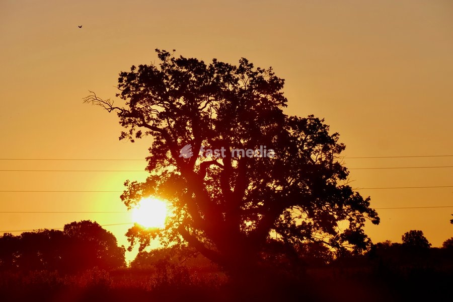 The days sun rises over the countryside