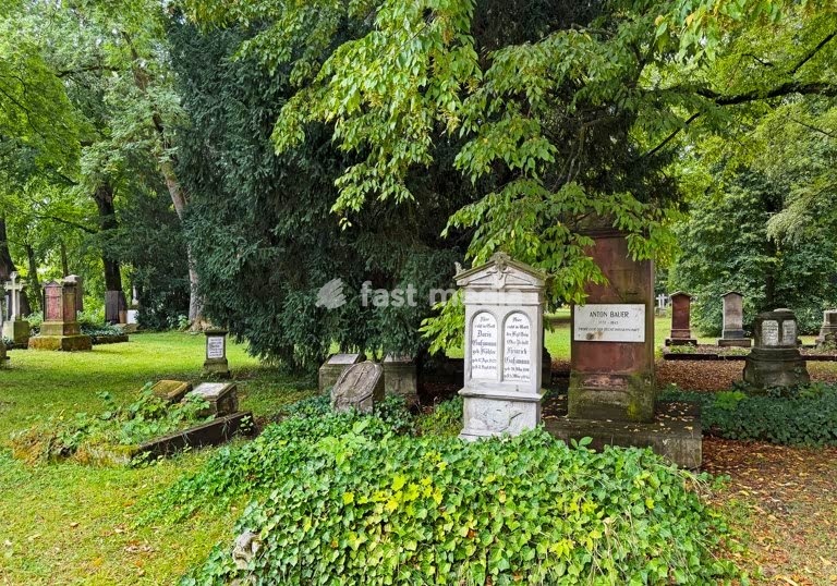 Göttingen, Albani Cemetery: this historic, park-like cemetery is home to the graves of numerous prominent figures from the worlds of culture and science. Göttingen, 20 August 2026