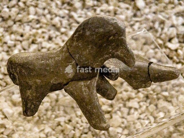 clay horse figure, Uplistsikhe, near Gori, in the Shida Kartli region, Georgia