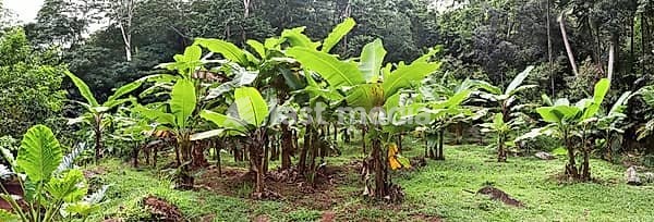 Beautiful impressions of the tropical landscape on the Seychelles islands paradise