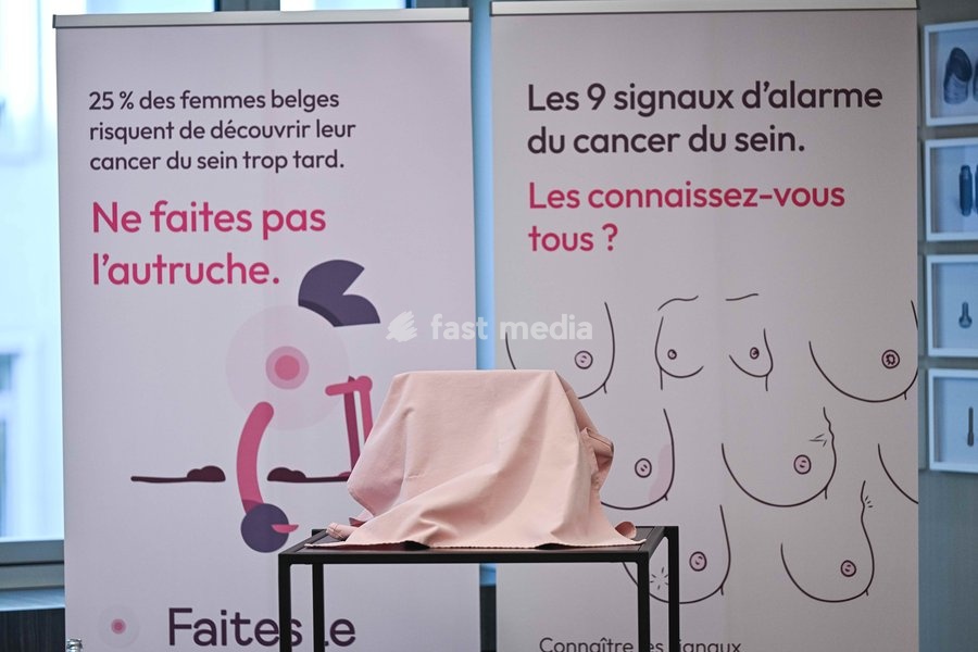 FOCUS COVERAGE, DISTRIBUTION REQUESTED TO BELGA 'Pink ribbon' slogan pictured during a press conference of the 'Pink Ribbon' Breast Cancer awareness organization at the VBO / FEB Federation of Enterprises, on Tuesday 22 September 2026 in Brussels
