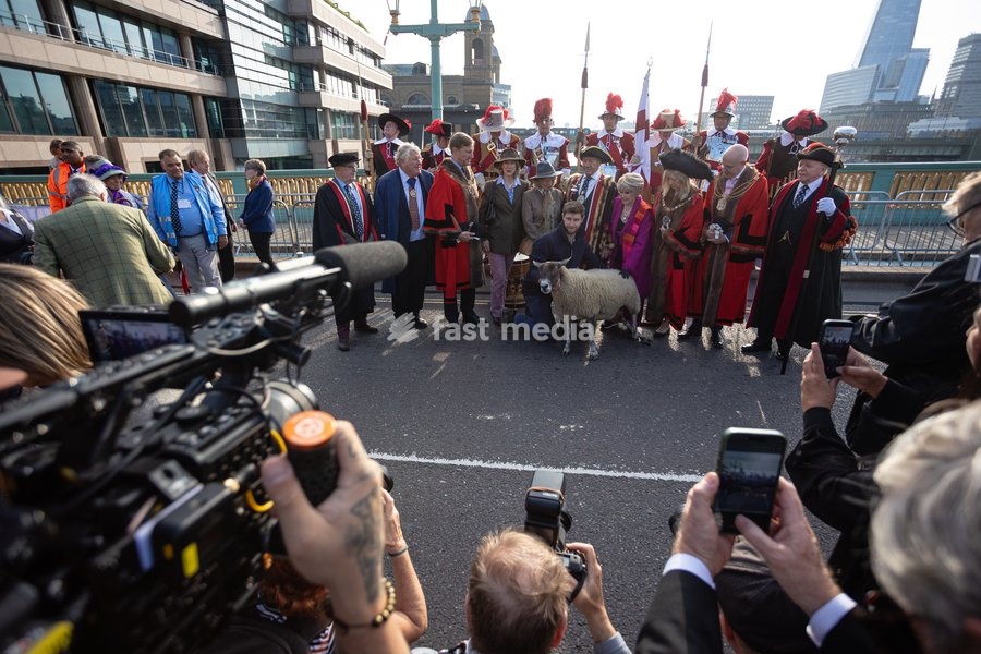 Gloria Hunniford OBE leads the Woolmens' Sheep Drive across Southwark Bridge, London, UK, on 27 September 2026. The broadcaster, who became a Freeman of the City of London earlier this year, led the annual drive to mark 80 years in entertainment, joined by Master Woolman David Hopkins, Lady Mayor…