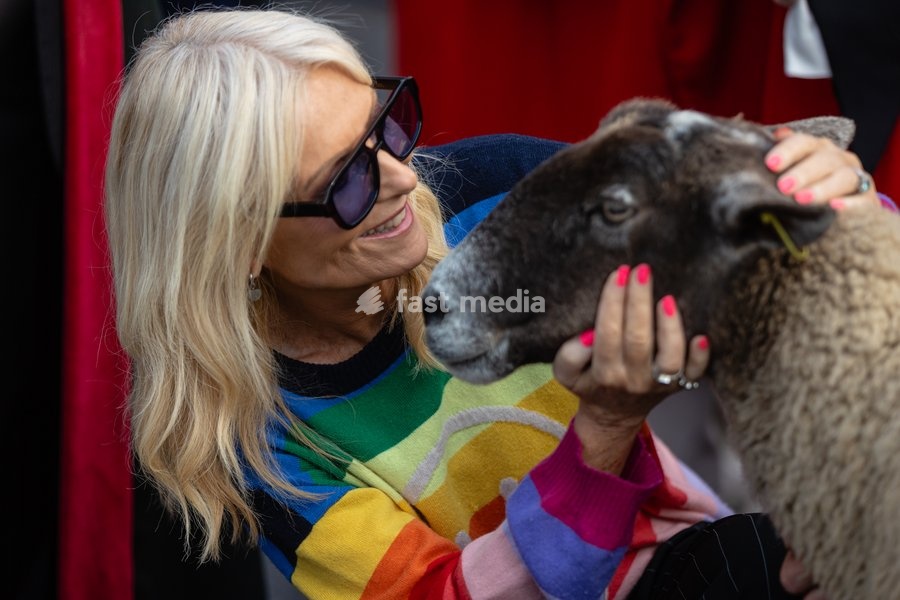 TV presenter Gabby Roslin gets up close to a sheep during the Woolmens' Sheep Drive across Southwark Bridge, London, UK, on 27 September 2026. The broadcaster, who became a Freeman of the City of London earlier this year, led the annual drive to mark 80 years in entertainment, joined by Master…