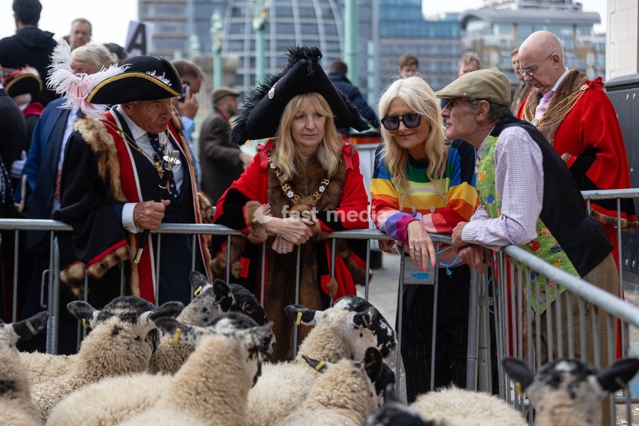 TV presenter Gabby Roslin joins Dame Susan Langley, Lady Mayor of the City of London, Master Woolman David Hopkins and farmer David Seamark during the Woolmens' Sheep Drive across Southwark Bridge, London, UK, on 27 September 2026. The drive was led by veteran broadcaster Gloria Unniford OBE, who…