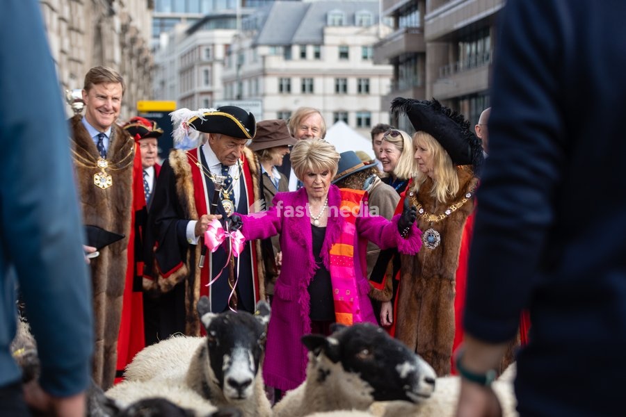 Gloria Hunniford OBE leads the Woolmens' Sheep Drive across Southwark Bridge, London, UK, on 27 September 2026. The broadcaster, who became a Freeman of the City of London earlier this year, led the annual drive to mark 80 years in entertainment, joined by Master Woolman David Hopkins, Lady Mayor…