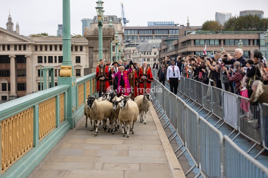 Gloria Hunniford OBE leads the Woolmens' Sheep Drive across Southwark Bridge, London, UK, on 27 September 2026. The broadcaster, who became a Freeman of the City of London earlier this year, led the annual drive to mark 80 years in entertainment, joined by Master Woolman David Hopkins, Lady Mayor…