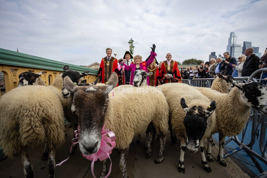 Gloria Hunniford OBE leads the Woolmens' Sheep Drive across Southwark Bridge, London, UK, on 27 September 2026. The broadcaster, who became a Freeman of the City of London earlier this year, led the annual drive to mark 80 years in entertainment, joined by Master Woolman David Hopkins, Lady Mayor…