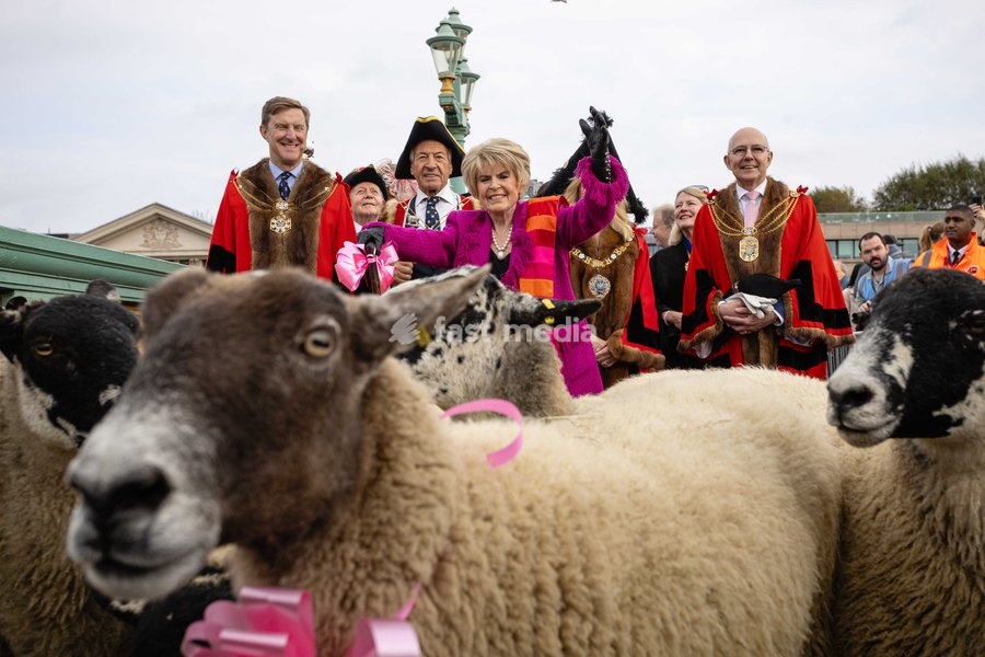 Gloria Hunniford OBE leads the Woolmens' Sheep Drive across Southwark Bridge, London, UK, on 27 September 2026. The broadcaster, who became a Freeman of the City of London earlier this year, led the annual drive to mark 80 years in entertainment, joined by Master Woolman David Hopkins, Lady Mayor…