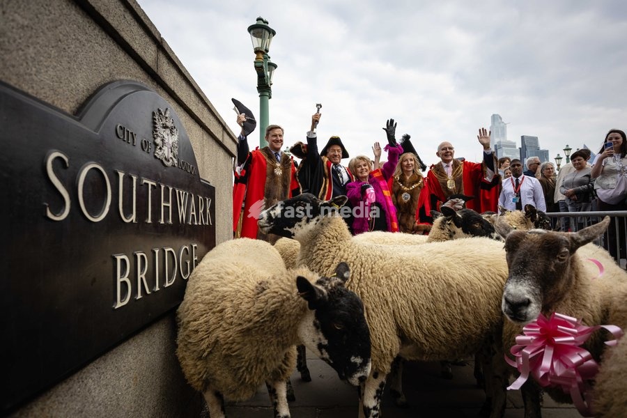 Gloria Hunniford OBE leads the Woolmens' Sheep Drive across Southwark Bridge, London, UK, on 27 September 2026. The broadcaster, who became a Freeman of the City of London earlier this year, led the annual drive to mark 80 years in entertainment, joined by Master Woolman David Hopkins, Lady Mayor…