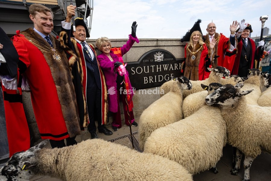 Gloria Hunniford OBE leads the Woolmens' Sheep Drive across Southwark Bridge, London, UK, on 27 September 2026. The broadcaster, who became a Freeman of the City of London earlier this year, led the annual drive to mark 80 years in entertainment, joined by Master Woolman David Hopkins, Lady Mayor…
