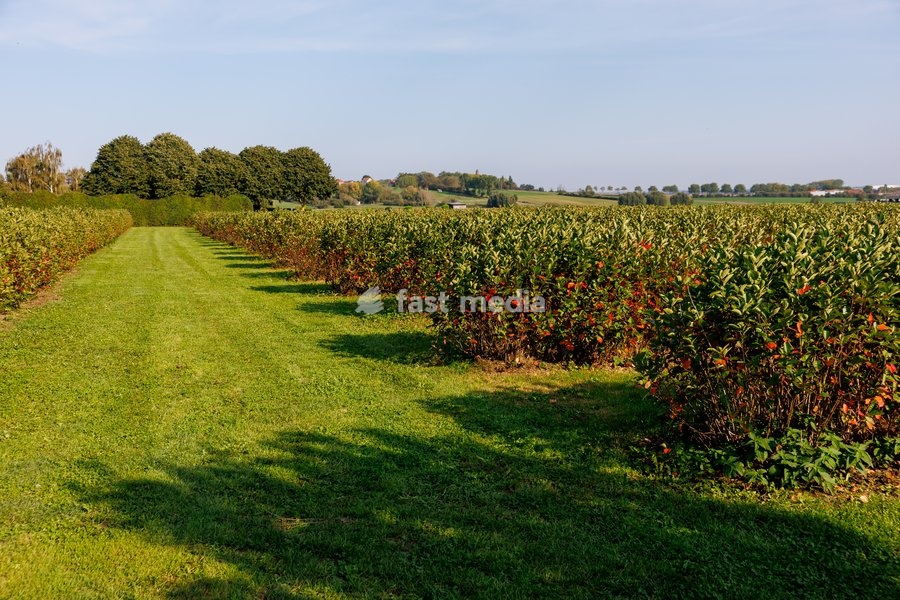 This image shows a visit to Agriton aronia berry farm in Mesen, on his final day as West-Flanders province governor on Tuesday 29 September 2026
