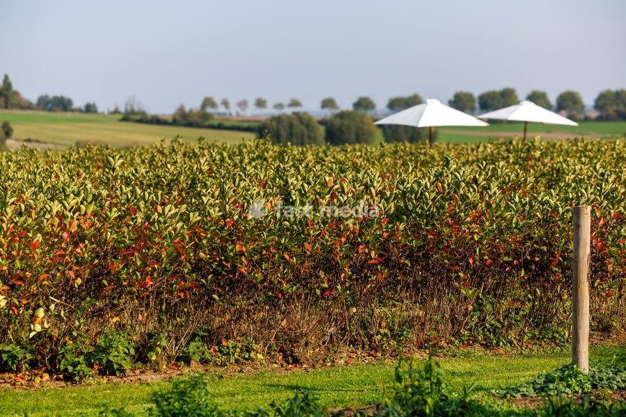 This image shows a visit to Agriton aronia berry farm in Mesen, on his final day as West-Flanders province governor on Tuesday 29 September 2026