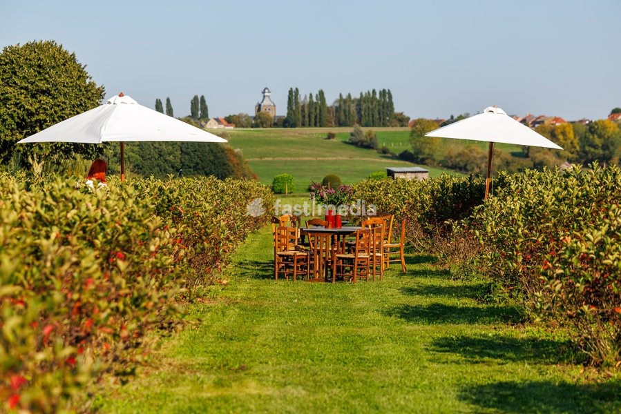 This image shows a visit to Agriton aronia berry farm in Mesen, on his final day as West-Flanders province governor on Tuesday 29 September 2026