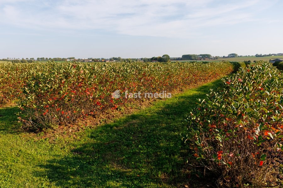 This image shows a visit to Agriton aronia berry farm in Mesen, on his final day as West-Flanders province governor on Tuesday 29 September 2026