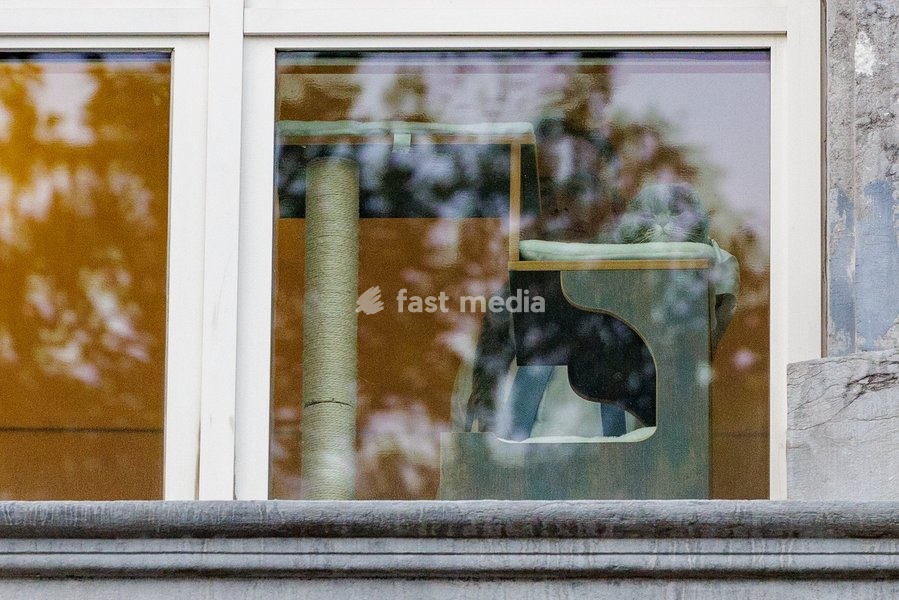 Prime Minister Bart De Wever and his cat pictured after a meeting of the Federal Government on the budget for 2027, Saturday 3 October 2026 in Brussels
