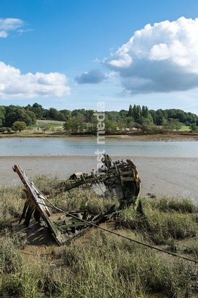 Wooden ribs of an old boat wreck close to Woodbridge on the River Deben near Ipswich, Suffolk. United Kingdom. 02 October 2026