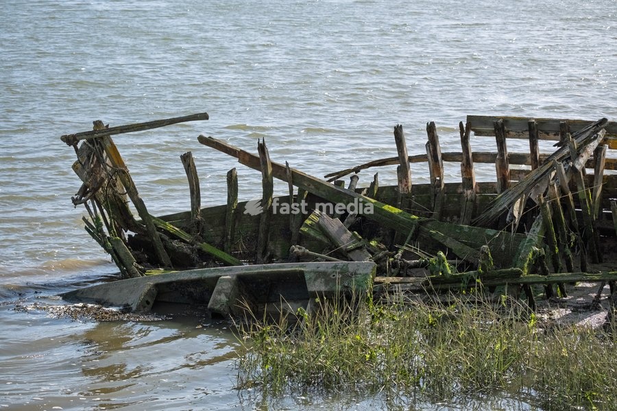 Wooden ribs of an old boat wreck close to Woodbridge on the River Deben near Ipswich, Suffolk, UK