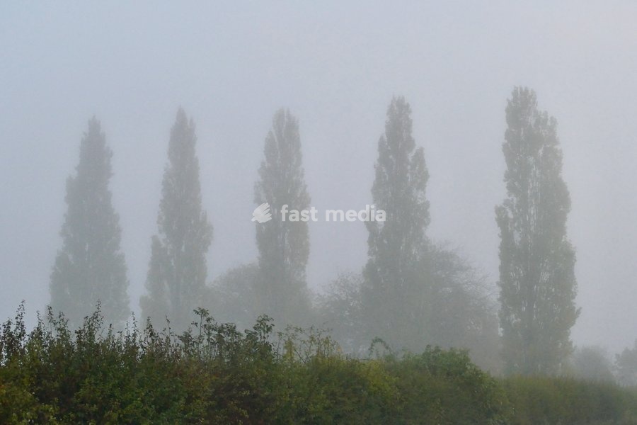 It was a mist start to the day in the Oxfordshire countryside