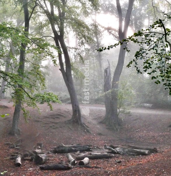 It was a mist start to the day in the Oxfordshire countryside