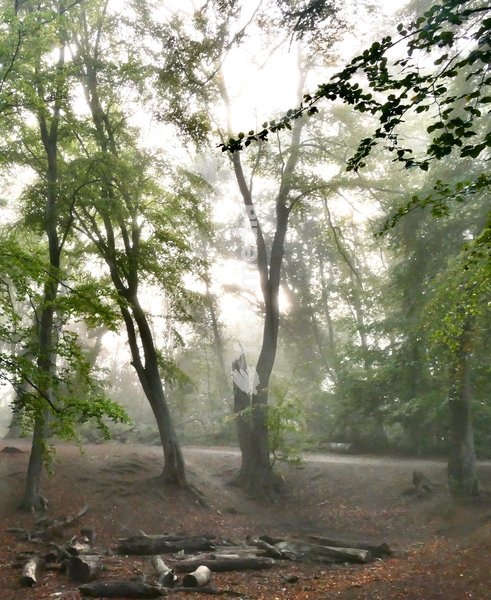 It was a mist start to the day in the Oxfordshire countryside